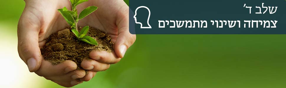 שלב ד' צמיחה ושינוי מתמשכים שלב ד' צמיחה ושינוי מתמשכים