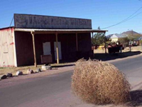 האתר שלך נטוש?